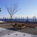 영덕야성초등학교 창포분교장 이미지