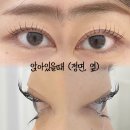일산 백석동 속눈썹펌 추천, 뿌리까지 둥글게 올라가는 롱래쉬 둥근바짝펌 후기 (제이앤필 일산본점)