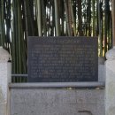 성원닭갈비 이미지