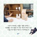 메이에르 이미지