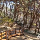 장복산조각공원 네이버블로그