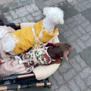 라라쥬카페 이미지