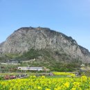 천제연휴양팬션 이미지