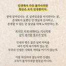 더자라 Daum카페