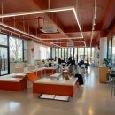 견인지역 애견운동장 유치원 김포점 | 김포 애견카페 추천 멍더쿠, 아이랑 가기 좋은 곳(야외 공간 있음)