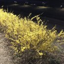 참(charm)행정사 사무소 이미지