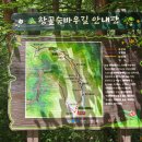 2026년 07월 19일(셋째주/1,258차) "정선 항골" 트레킹 갑니다.. 이미지