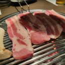 김사부 회초밥 이미지