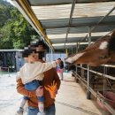 한우드림제2농장 이미지