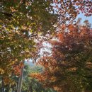 집 | 안양예술공원 한정식집 후기