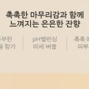 워시블랑 이미지