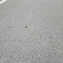 건널목 앞 이미지