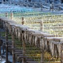 황금덕장 이미지