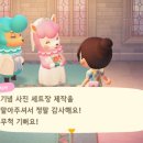 플라라 이미지