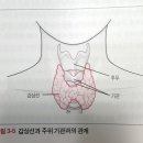 경희하늘한의원 네이버블로그
