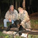 복수계룡 이미지