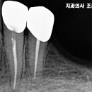 서울훈훈한치과의원 이미지