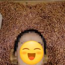 강남대로107길 24 | 신사역 여성전용 찜질방 스파레이 찐후기 | 세신까지 제대로 힐링