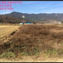 대산면913 이미지