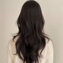 고도헤어