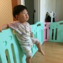 롱다리디스코 이미지