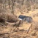 음성농장 이미지