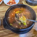 웅촌운동장 운동시설 | 횡성 해장국 맛집, 운동장해장국 한우내장해장국 리뷰