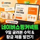 네이버쇼핑커넥트 9일 굴려본 수익 & 황금 제품 발견기