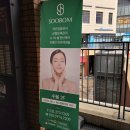 수봄동탄