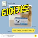 진해동물약국 | 티어가드 정, 강아지 눈물자국 약 2주분으로 눈물 잡기 동물약국