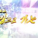 희망스포츠 스포츠조선
