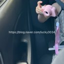 (주)드림주유소 이미지