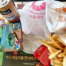 윌토피아 | 내돈내산 맥도날드 해피밀 5월 윌토피아 푸른바다거북 후기(feat. 거북이집 막내 거북이)