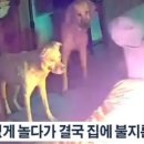 바라봄 컴퍼니 이미지