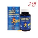 에버그린 이미지