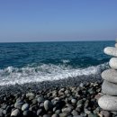 다시건강 이미지