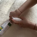여우야카페 ◟́세타필 시카 세라 고요 크림◞̀체험단 당첨 후기