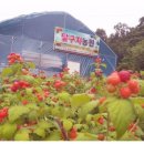 달구지농원
