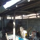 유구읍 석남리 이미지