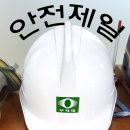 개미산업개발인력 이미지