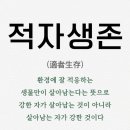 베베꼬