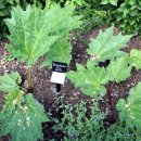 장군한의원 이미지