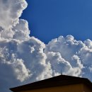 일죽약국 이미지