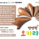 [마을배움터] 우쿨렐레 Daum카페