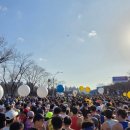 대로2-39 | 2026 대구마라톤 풀코스 후기｜39km 산 같은 업힐, 코스 난이도·기록 분석 (4:26 완주)