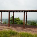 미르조경