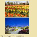 곡성(순천) 이미지