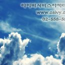 (주)아이비에이