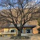 사릉로156번길1 이미지