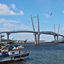 드르니 Daum카페